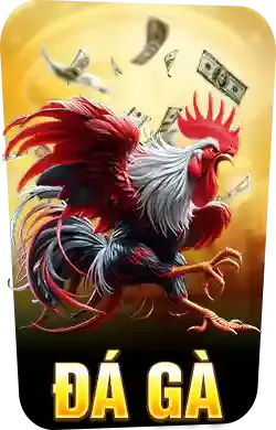 đá gà